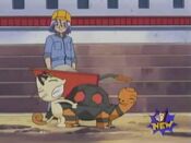 Meowth tries to push Torkoal onto the cart