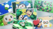 Photos of Ash and Rowlet