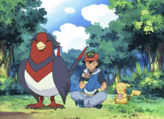 Ash and Swellow