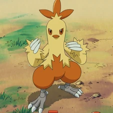 Nurse Joy's Combusken.