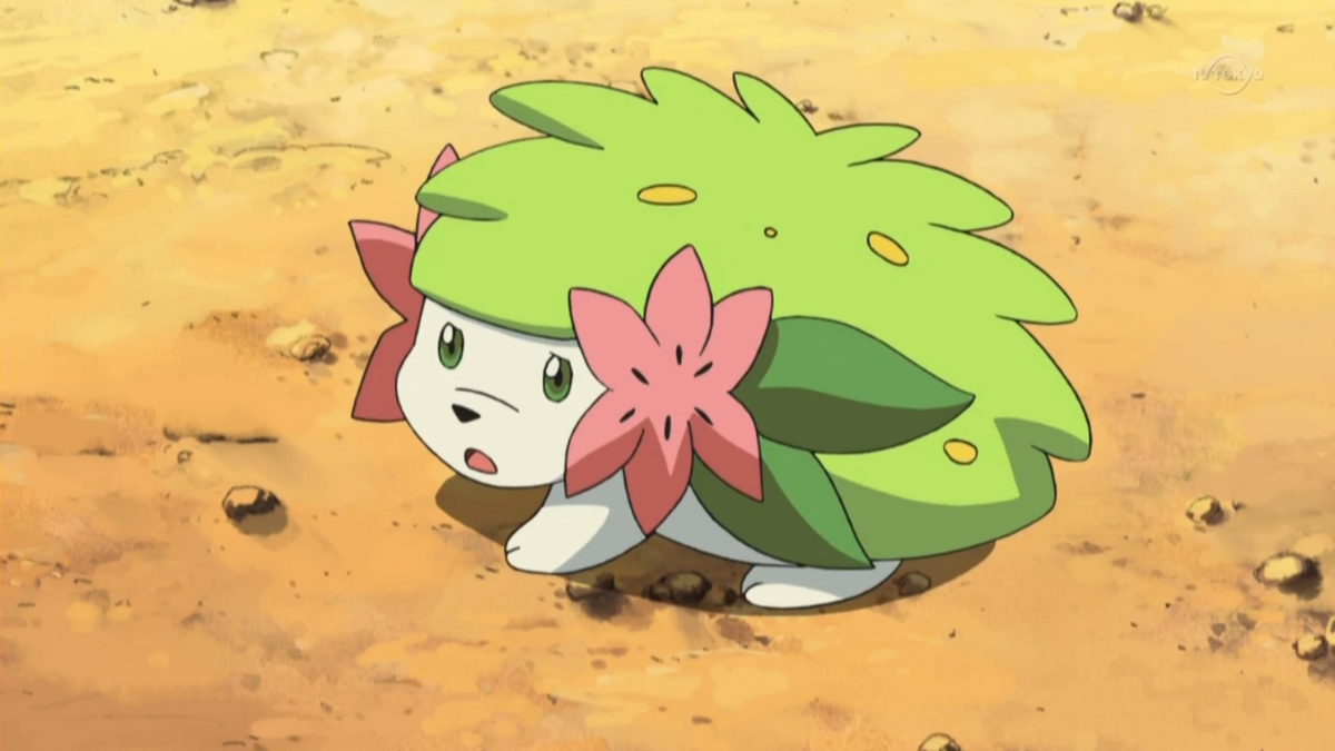 Shaymin Land Forme/TCG, Pokemon Collectors Wiki