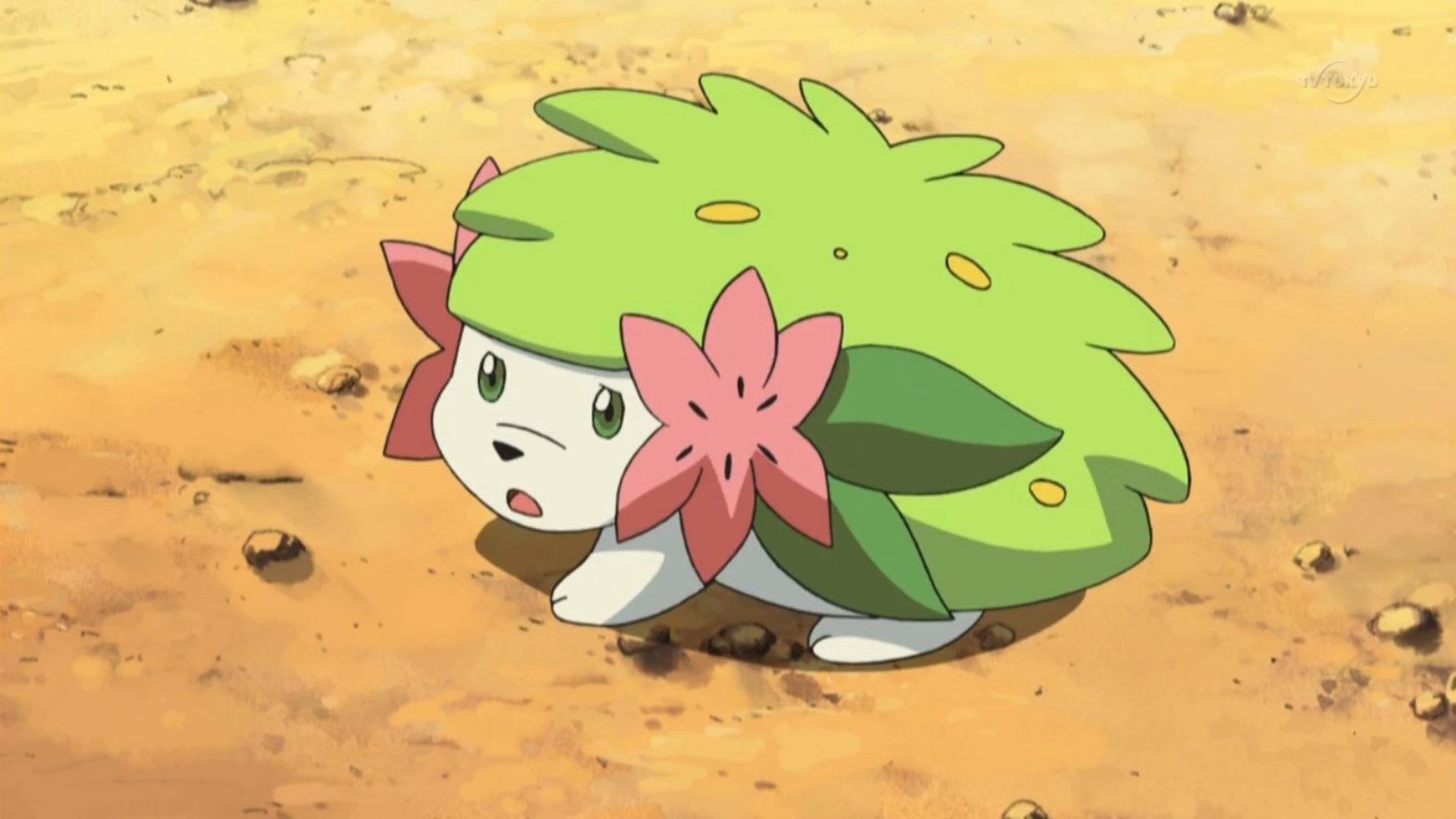 Shaymin sky form, Wiki