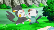 Oshawott and Emolga fight each other