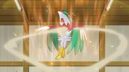 Used by Bea's Hawlucha.