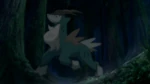 After the epic battle of Kyurem and Keldeo, Ash temporarily rode on Cobalion to escape the Full Court as it collapses.