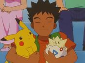 Brock watches over Pikachu and Togepi