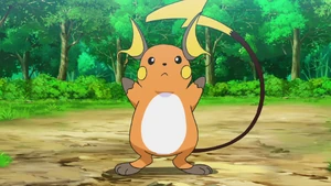 Goh's Raichu.
