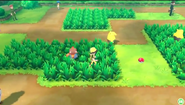 Route 11 PE.png (625 KB) Kanto Route 11 in Let's Go Pikachu and Eevee