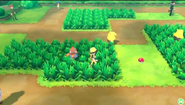 Kanto Route 11 in Let's Go Pikachu and Eevee