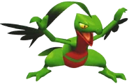 0253Grovyle Pokemon Colosseum.png (254 KB)