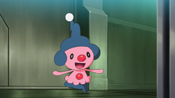 Pokémon Club - Fact : Riolu is Ash's first ever baby Pokemon. Baby Pokemon  were first introduced in Gen 2 back in 1999