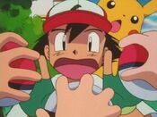 Ash is given offers to trade Tauros