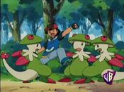 Ash fights Breloom