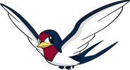 0276Taillow Dream 2.png (13 KB)