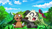 Pancham and Clemont's Chespin punch each other when Darkrai enter their dreams