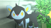 Luxio decides to go with Clemont