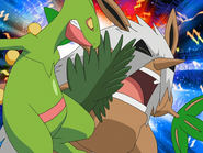 Pound being used by Ash's Sceptile.