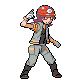 DP battle sprite