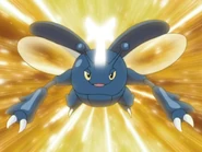 Megahorn being used by Barry's Heracross.