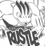 Machoke was initially introduced as its predecessor Machop, in the Gym Battle against Sapphire. It was summoned by Brawly to fight against Sapphire's Chic, but was no match for the evolved Pokémon's strength. Later, Machoke appeared during the Gym Leader Conference at Fortree City, where it arrived alongside its Trainer. It was also used in Brawly's fight against Blaise, but was overcome by his signature heat-inducing illusions.