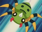 Bugsy's Spinarak battled against Ash's Chikorita during Ash's gym battle for the Hive Badge. Though at a type advantage, Spinarak lost.
