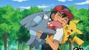 Gible licks Ash