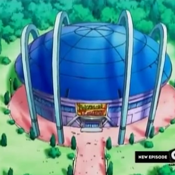 Lilypad Town Pokemon Wiki Fandom Lilypad Town Pokemon Wiki Fandom