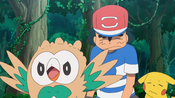 Rowlet wants to continue the battle, despite it being over