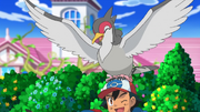 Ash and Tranquill
