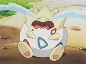 Togepi crying