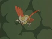 Noctowl coughs in the smoke