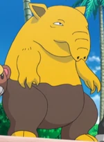 Drowsee was used by Team Skull Grunts to battle against Ilima and his Eevee. They were shortly defeated by Eevee when it used a combination of Quick Attack, Baby-Doll Eyes and Swift.