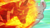 Minccino gets hit by Zebstrika's Flame Charge