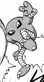 Hitmonlee is one of Bruno's main Pokémon, whose strength lies both in its upper and lower body. It can also extend its legs, which allows for it to dodge attacks with relative ease. Hitmonlee is incredibly powerful, as it was able to defeat Pika almost singlehandedly. It was used in conjunction with Lorelei's Jynx and Agatha's Gastly to defeat both Saur, Poli and Gyara.