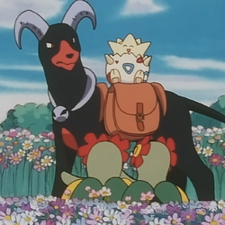 photo Pokemon Johto League Champions Episodes johto league champions episodes