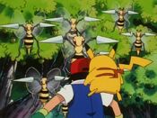 Ash is stopped by Beedrill