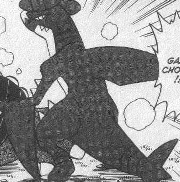 Nazuna S Father S Garchomp Pokemon Wiki Fandom