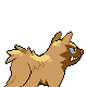 0261Poochyena Back IV Shiny.png (749 bytes) Poochyena's Generation IV Shiny back sprite