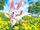 5ban graphics Sylveon TCG.jpg