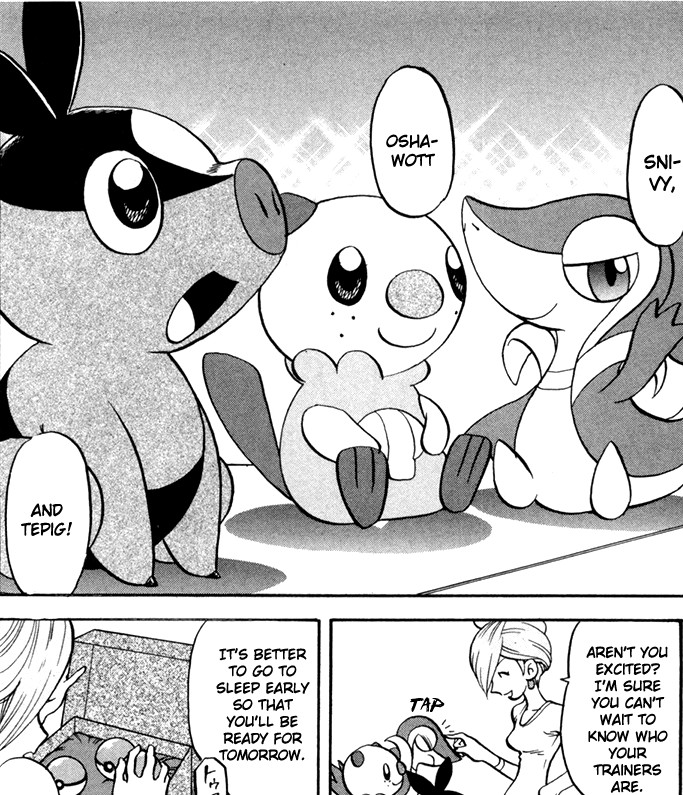 Pokémon Black & White