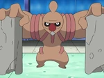 Conkeldurr is Trip's sixth and final Pokémon as a Timburr who tried to beat Ash's Oshawott but Timburr wasn't strong enough to win. During the Don Battle Tournament it evolved prior to its battle against Cilan's Dwebble but fell in battle. Trip then showed off his Conkeldurr to Ash and co.