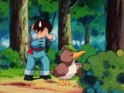 Farfetch'd disobeys