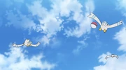 Wingull | Pokémon Wiki | Fandom