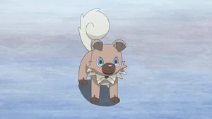 Murdock's Rockruff.