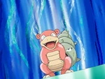 Slowbro was the first Pokemon that was revealed. It is used both in contest appeals and in battle and is, with the possible exception of Lapras, Solidad's most powerful Pokemon.