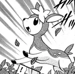 Darling appeared in Nimbasa City as a wild Pokemon that White tried to capture. It got angered and attacked White. Servine was then used to defeat the Deerling and nicknamed it Jessica. It is currently on the Battle Subway with White.