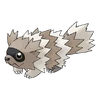 0263Zigzagoon