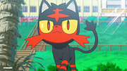 Ash Litten