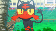 As Litten