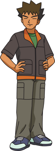 Brock (anime) | Pokémon Wiki | Fandom